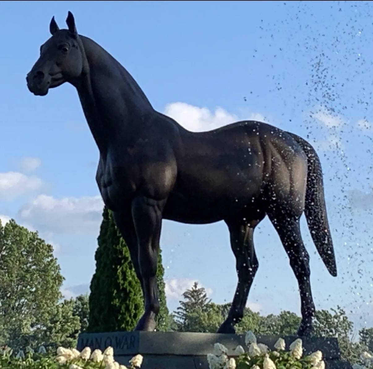 Black horse statue with water fountain against a clear sky.